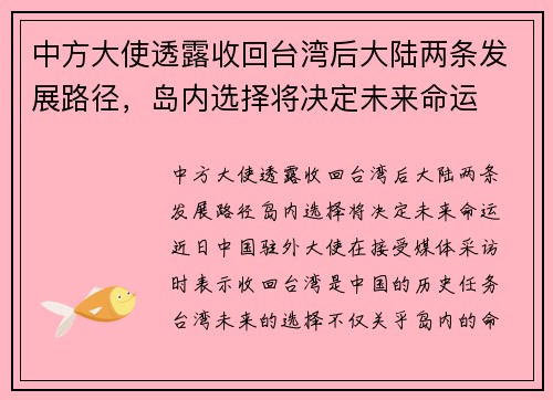 中方大使透露收回台湾后大陆两条发展路径，岛内选择将决定未来命运
