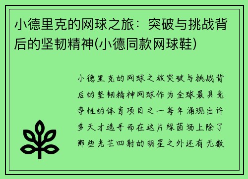 小德里克的网球之旅：突破与挑战背后的坚韧精神(小德同款网球鞋)