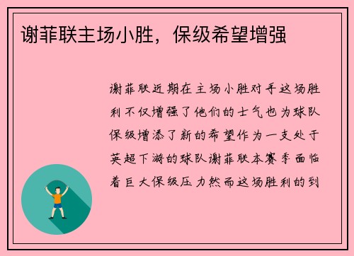 谢菲联主场小胜，保级希望增强